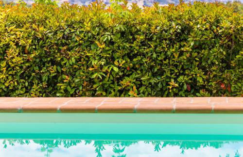 Un Petit Paradis - Foto 9