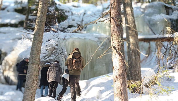 Trekking por el Parque Nacional Nuuksio - Foto 3