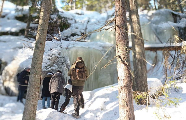 Trekking por el Parque Nacional Nuuksio - Foto 3