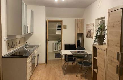 Appartment nahe Galopprennbahn - Foto 3