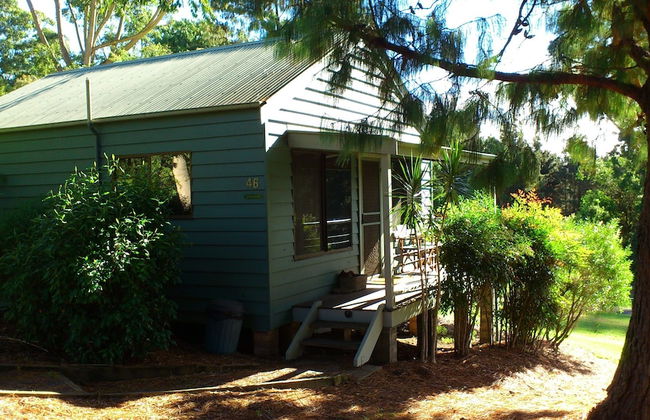 Greenwood Cabin in Kangaroo Valley - Foto 14