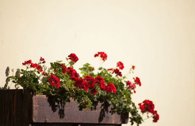 L'Antica Vigna - Photo 32