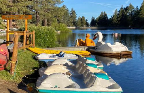 Snow Bunny Cottage, Pets Welcomed! - Foto 35