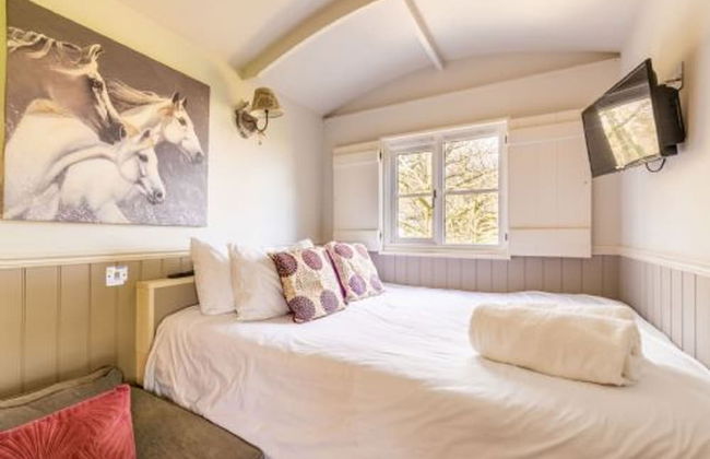 Host Stay Whoa Stop - Foto 4