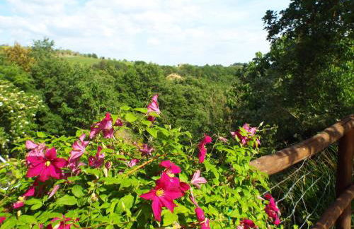 Agriturismo Frallarenza - Foto 54