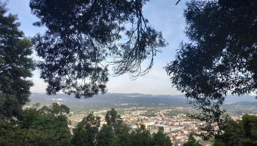 Lousã's Brown & White - Foto 2