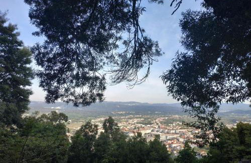 Lousã's Brown & White - Foto 2