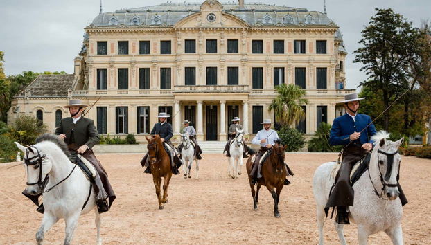 Horses at the Royal Andalusian School of Equestrian Art