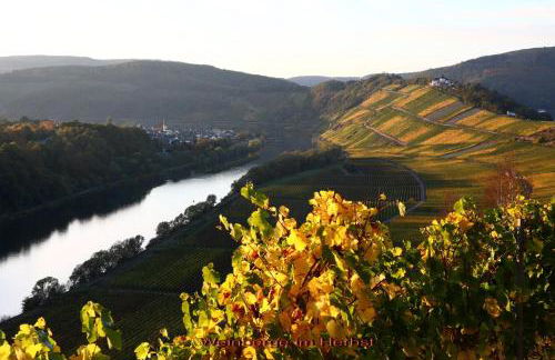 Ferienwohnung Ankerplatz - Foto 6