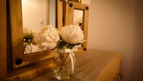 The Old Chemist - Photo 5