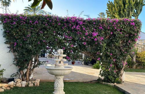 La Duna de Denia - Foto 44