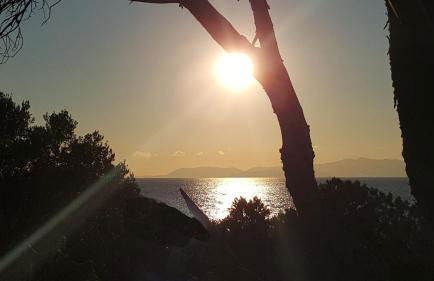 Casa Vacanze " IS MERIS " - Foto 33