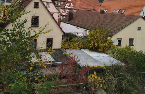 Ferienwohnungen Calwer Höfle Marktplatz - Foto 44