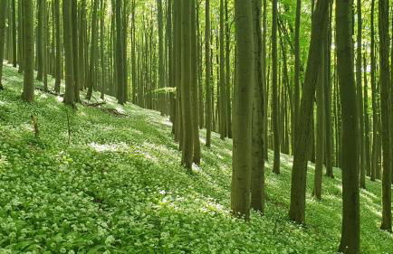 Studio Kaline - Foto 33