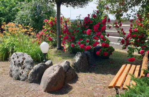 Kamienny Ogród Holiday Park - Foto 75