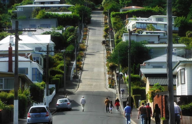 Baldwin Street BNB - Foto 54