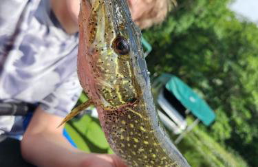 Lakefront Cabin with Loft and Bar - Foto 7