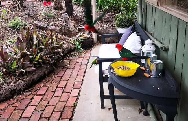 Kalimna Woods Cottages - Foto 76