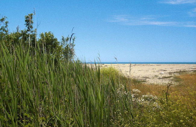 Apartment in Ghisonaccia Near Sandy Beach - Foto 33