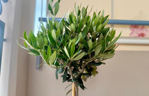 Domus Philippi & parking - Foto 30