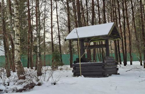 Leśny Zakątek Lipinki Bory Tucholskie - sauna - Foto 39
