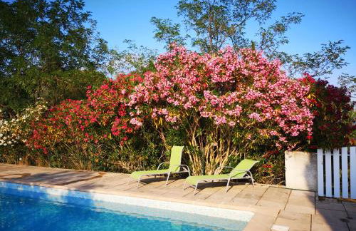 le vieux mas du domaine de Pontet-Fronzele - Foto 16