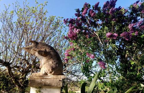 Agriturismo Teatro del grano - Foto 5