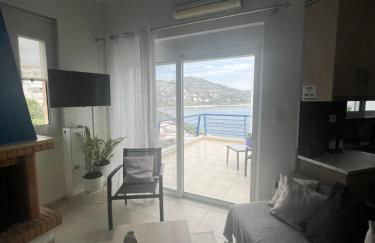 Blue and White - Foto 13