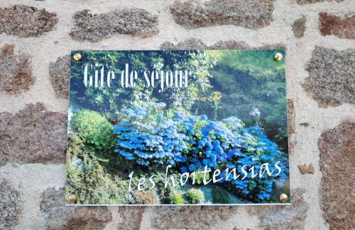 Les Hortensias - Foto 2