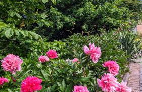 Ferienwohnung Fischerteich in Detmold - Foto 36