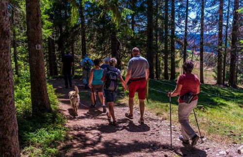 Ferienwohnung im Haus Rhea am Südhang- Feldberg- Falkau - Foto 21
