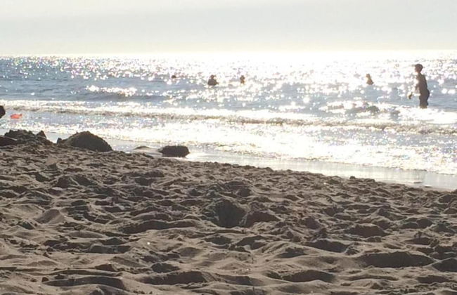 Holiday Home in Domburg Near Beach - Foto 39