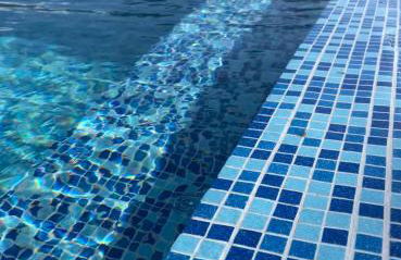 Quinta da Asneira - Foto 4