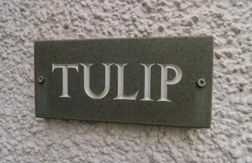 Tulip - Foto 2