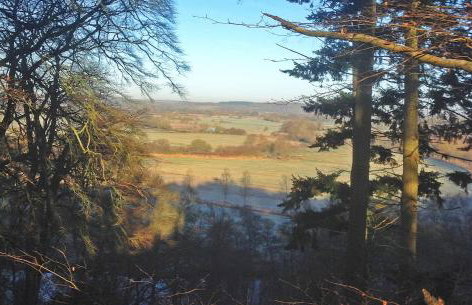 Mews Hill, 5 bedroom New Forest Holiday Cottage - Foto 46