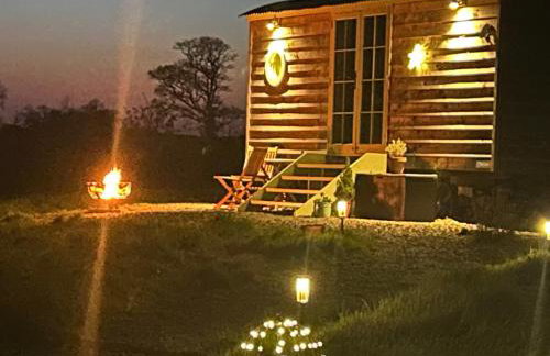 Cosy Devon Hut Woodland Views - Photo 76