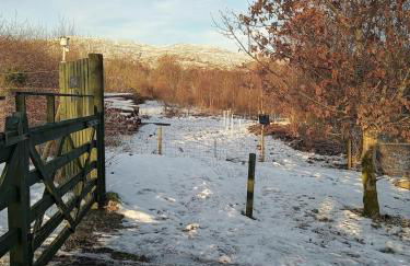The Wee Bothy at Larchwood Croft - Photo 20