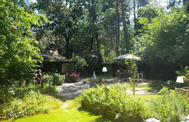 Oud-turnhout Nature Chalet - Foto 35
