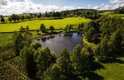 Modern and Stylish WoodHous - Photo 25