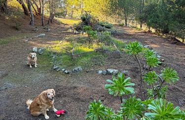 Mountain Top Getaway, BEST VIEW IN SLO! - Whole House - Foto 29