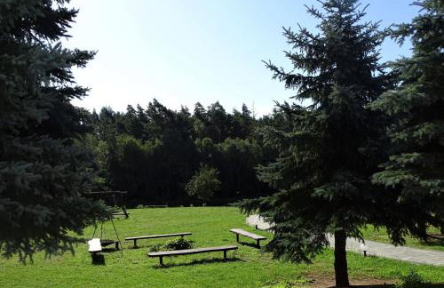 Mimoza Gospodarstwo Agroturystyczne - Foto 19