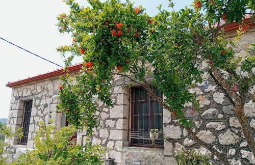 Mojo Art House - Foto 28