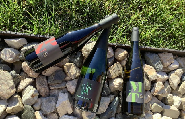 Agritur Verderame - Foto 58