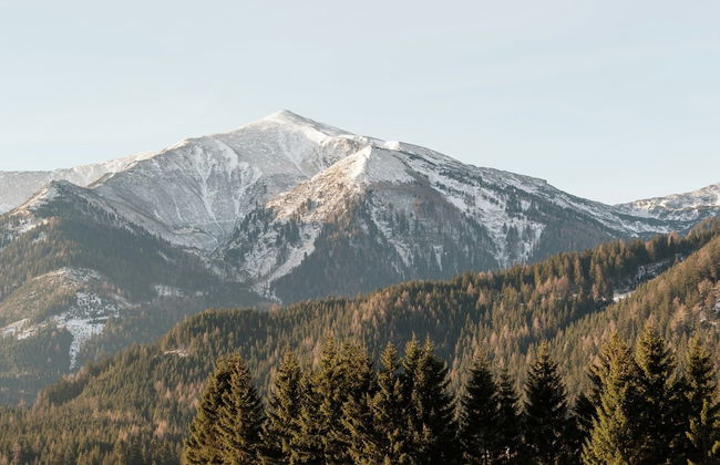 Chalet in Hohentauern Near Ski Lift - Foto 37