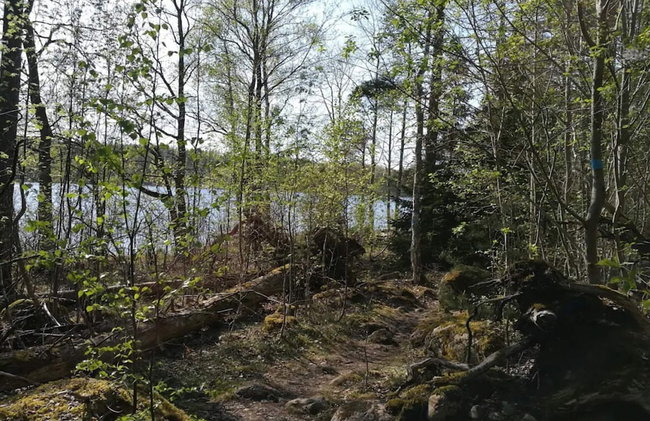 5 Person Holiday Home in Linkoping - Foto 34