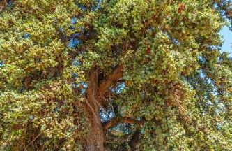 Villa Dune - Foto 28