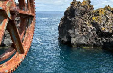 Azores Black Mountain House, Estúdio e T2 Ilha do Pico - Photo 55