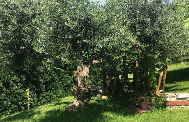Una Finestra sul Mare - Foto 33