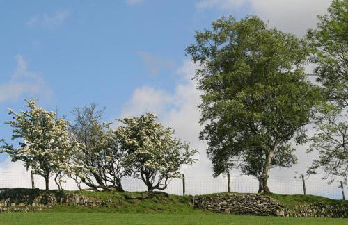 Swansea Valley Holiday Cottages - Foto 99