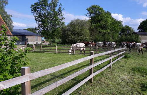 Roulotte à la Ferme Buissonnière - Foto 23